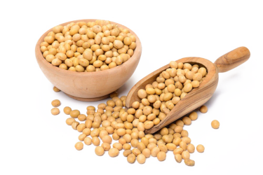 Soybean